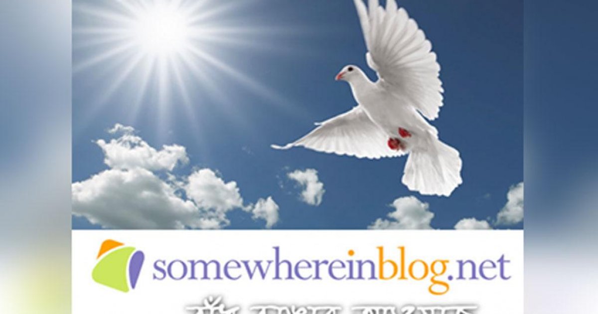 somewhereinblog